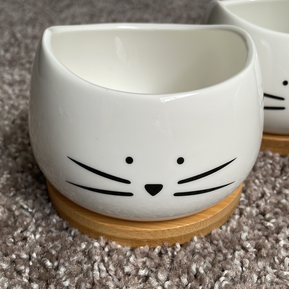 Amazon Cute Cat Ceramic Succulent Planter Pots - Picture 3 of 3